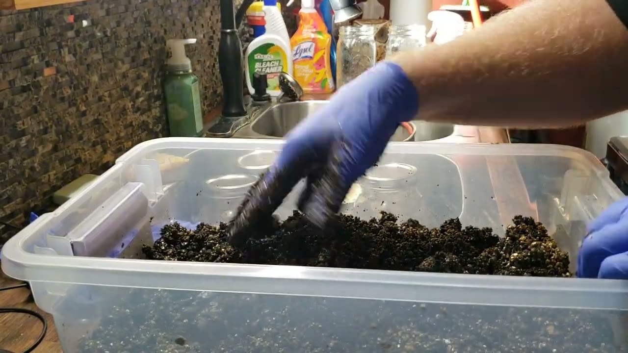 How to do a manure based substrate  and easy pasturizeing method