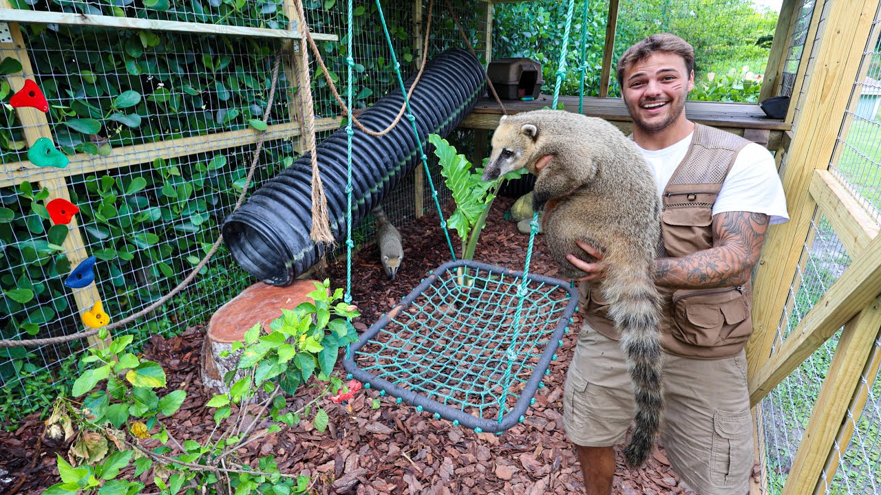 Building My EXOTIC ANIMAL a BUDGET PLAYGROUND!!