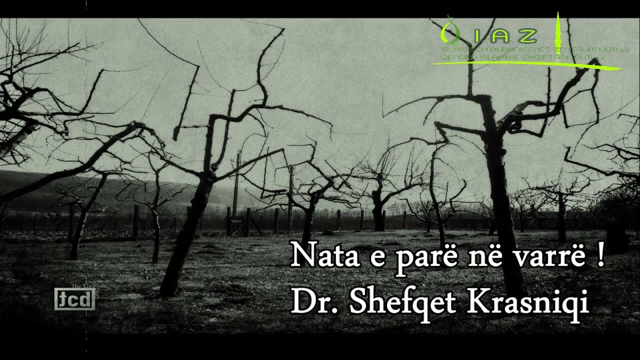 Nata e parë në varrë - Dr.Shefqet Krasniqi