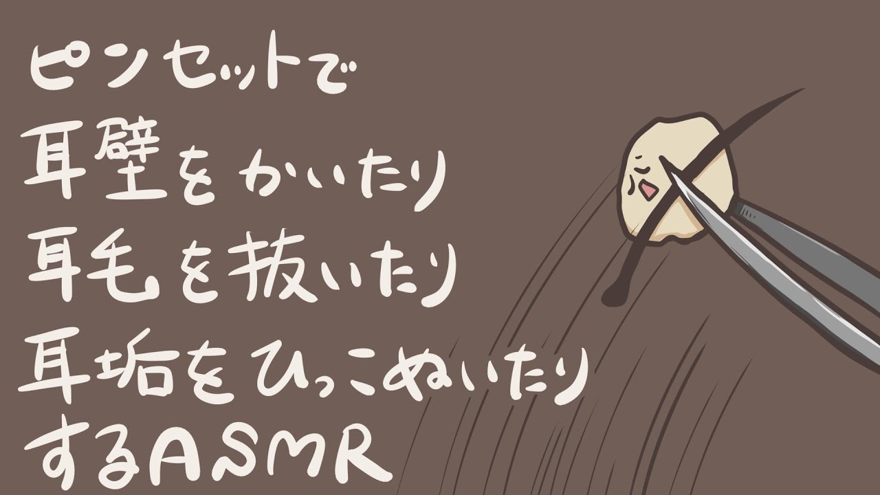 【ASMR】ピンセットで耳壁を掻いたり耳毛を抜いたり耳垢を引っこ抜いたりする耳かき-Ear Cleaning/Pincet/No Talking-