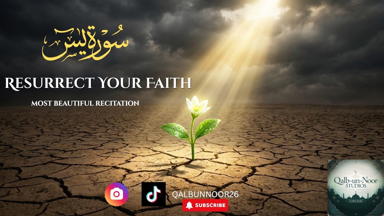 Surah Yasin| The Miraculous Remedy for a Heavy Heart|The Most Beautiful Recitation