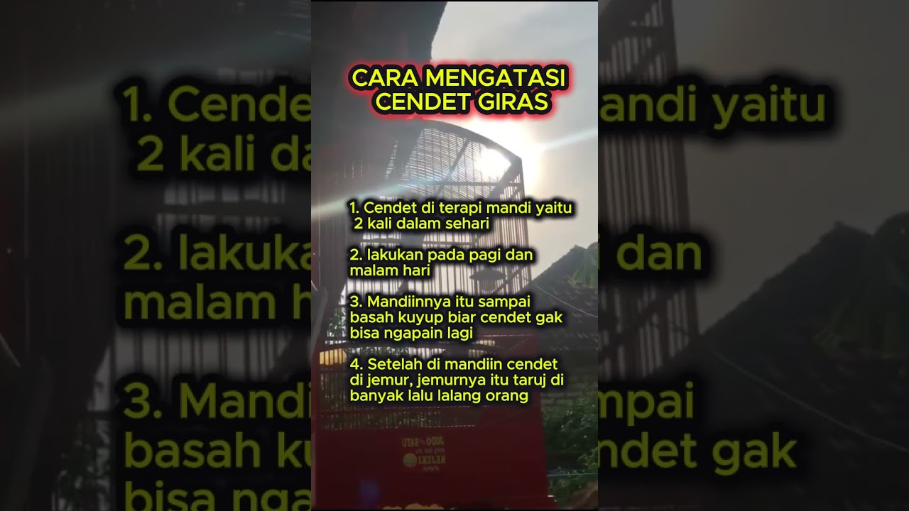 cara atasi cendet giras #cendet