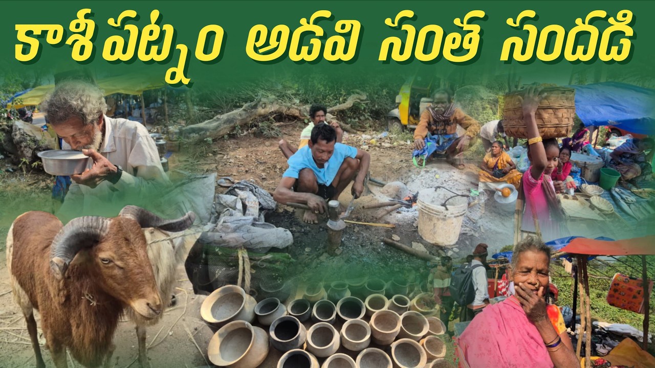 Rare Tribal Forest Market Experience | Kasipatnam Weekly Adavi Santa..😲 || TribalMarket
