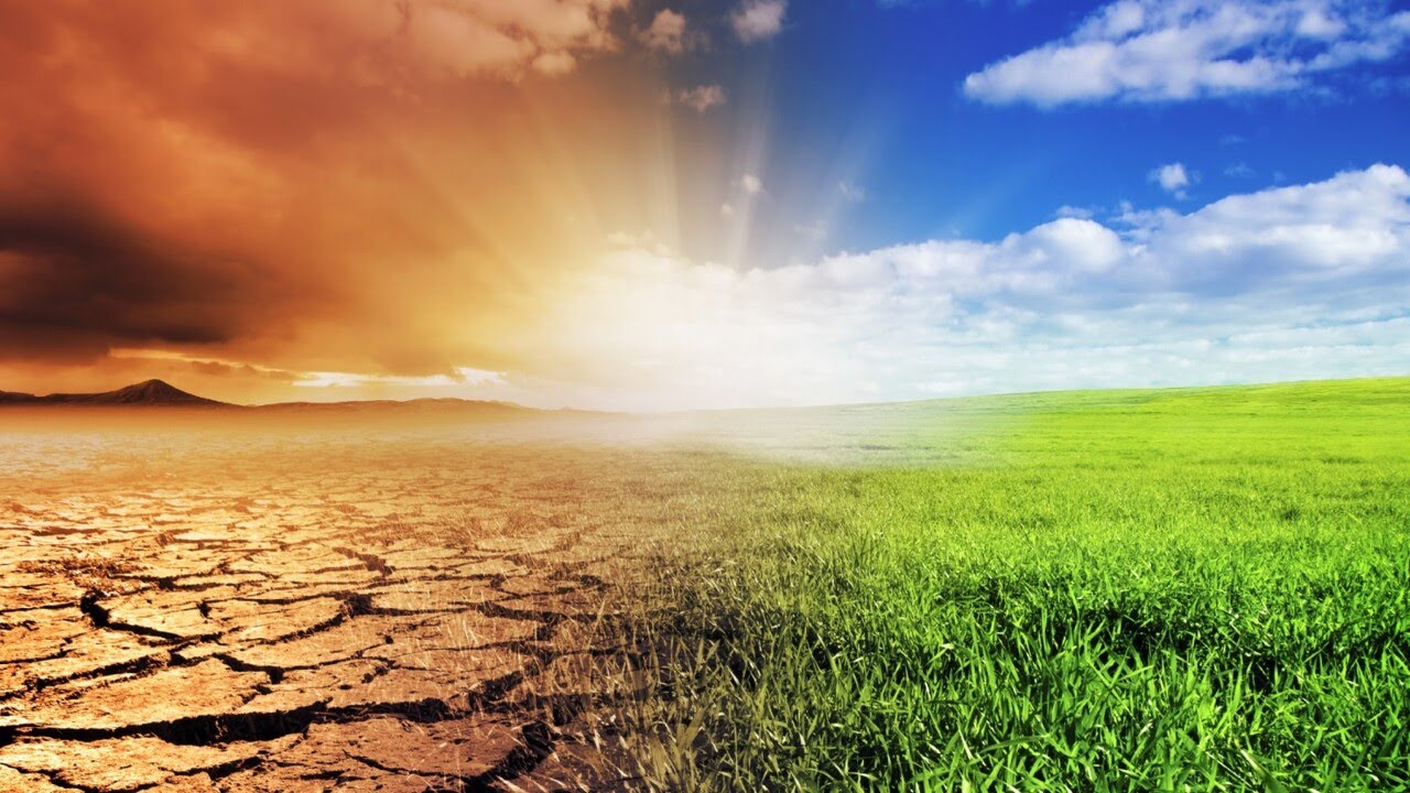 'Unfortunate abuse of statistics': Climate data encouraged over disaster analysis