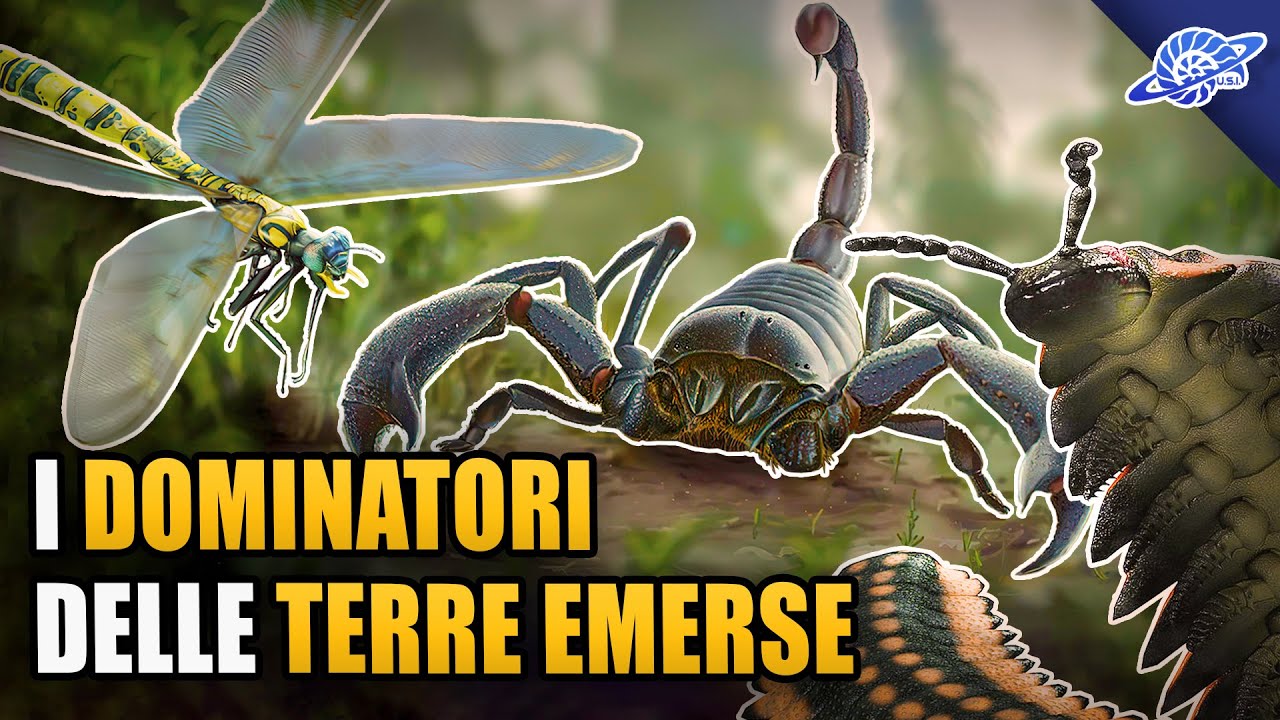 Quando gli ARTROPODI Conquistarono le Terre Emerse