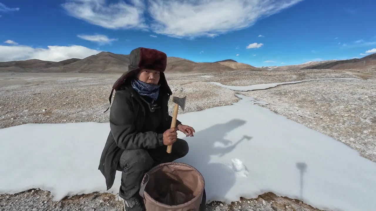 【田七浪迹天涯-忆往昔】姑娘骑行西藏，遇见狼吃人厕所，吓得赶紧逃离#田七浪迹天涯#穷游的田七#骑行#骑行 #田七穷游祖国