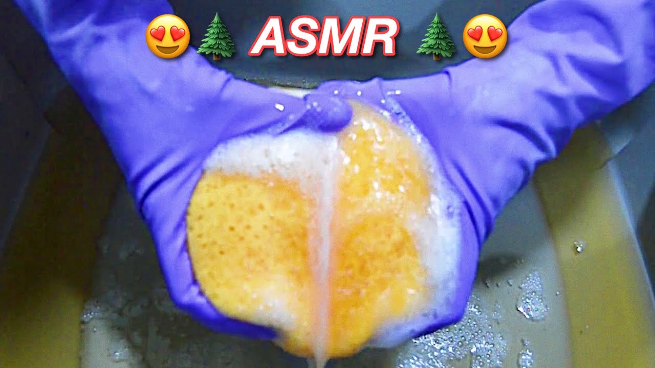 ASMR | SATISFYING SPONGE SQUEEZING *crunchy suds!* 🌲🤤