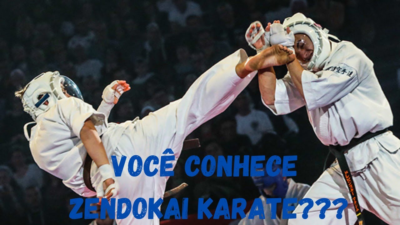 Voc&ecirc; conhece o Zendokai Karate