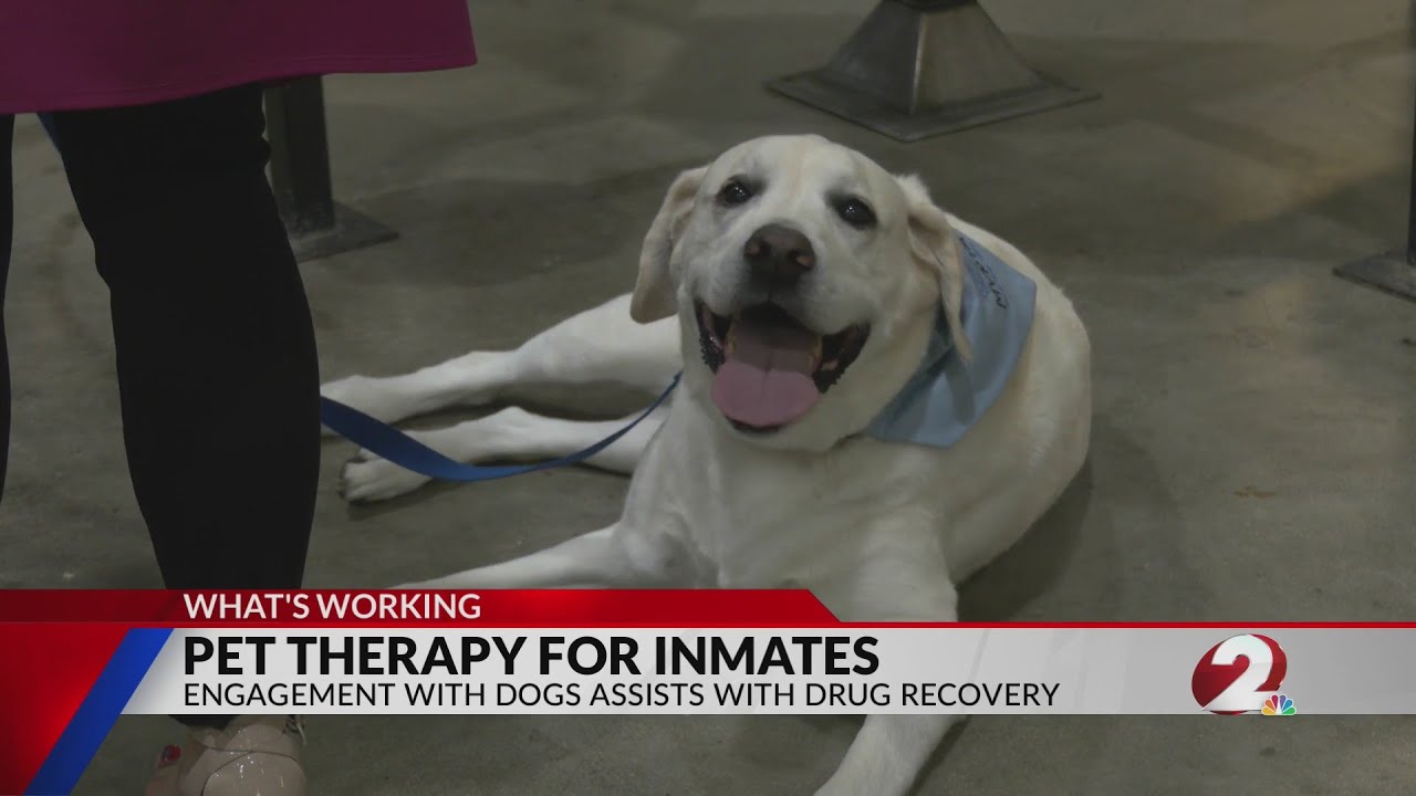 Pet therapy helps inmates with drug addiction recovery