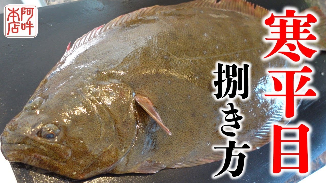 【王道】寒ヒラメの捌き方、刺身と薄造りで味わう