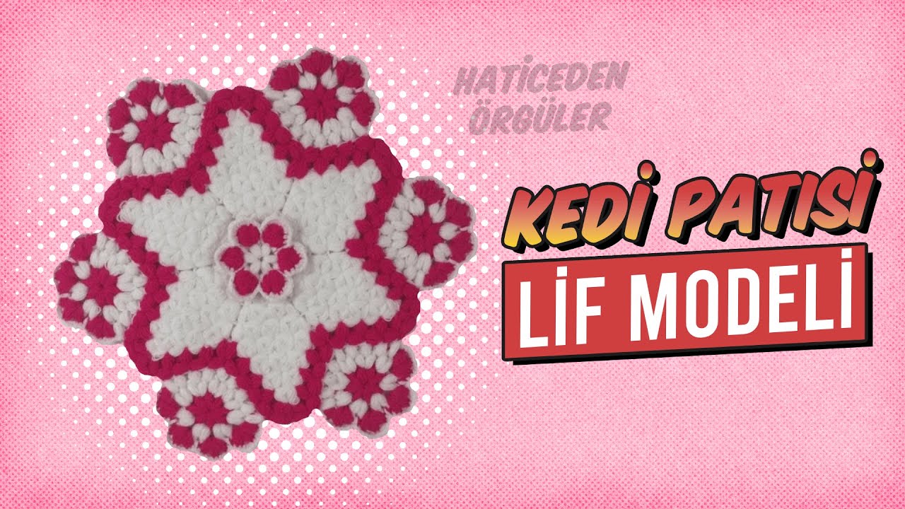 Kedi Patisi Lif Modeli