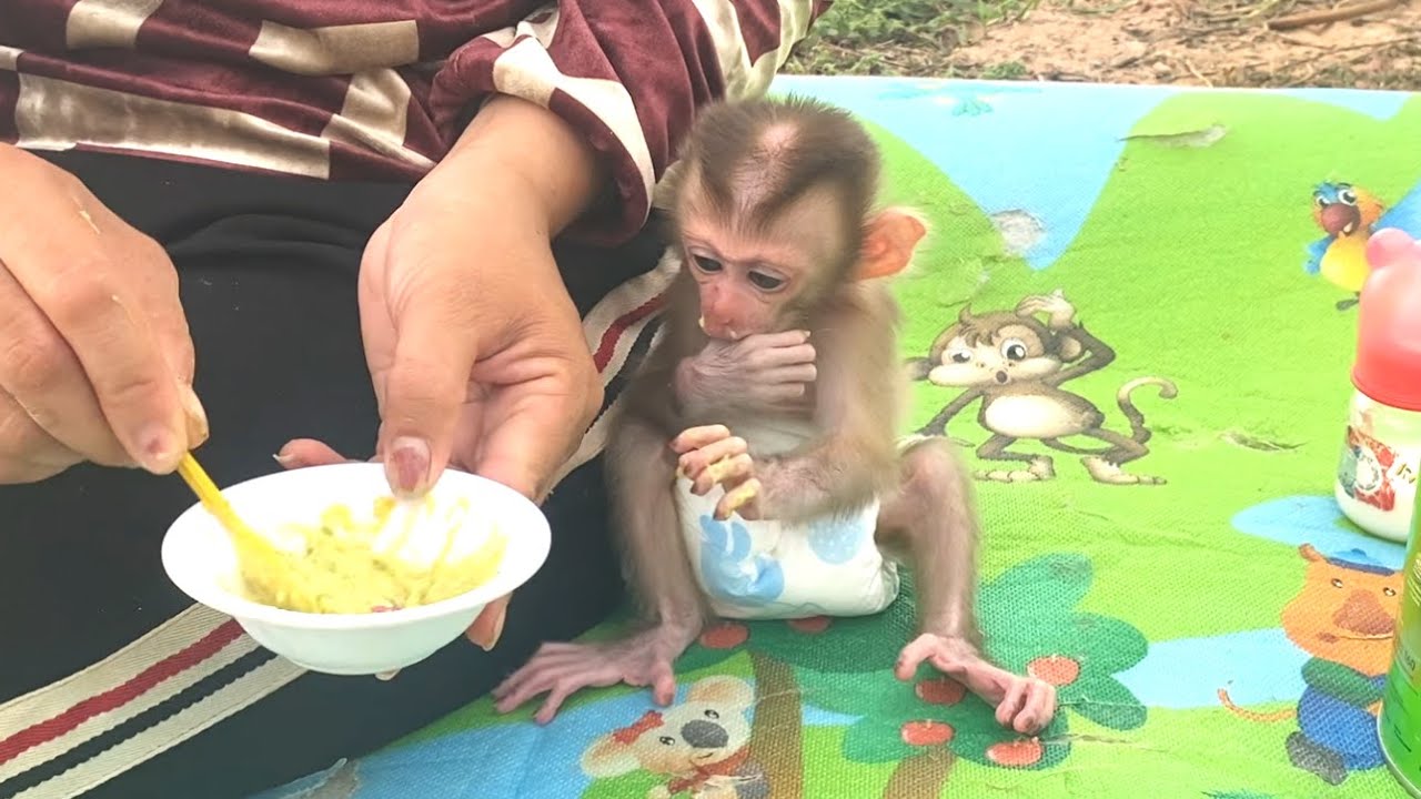 So delicious!! Amazing baby LIORA loves avocado smoothie with milk