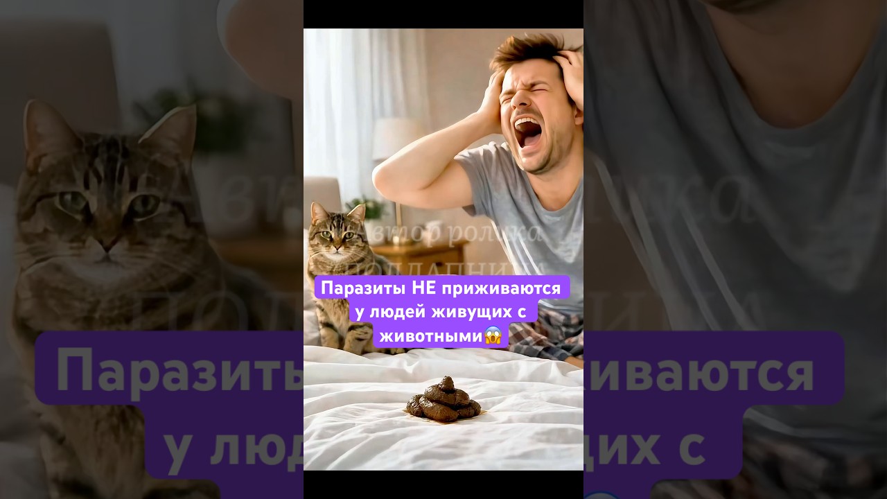 #кошкиисобаки #разрушениемифов #домашниеживотные #здоровье #гигиена