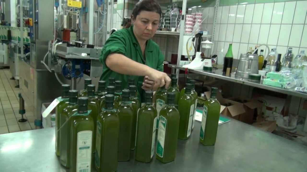 Visit to the home of Sarafino Extra Virgin Olive Oil in Italy