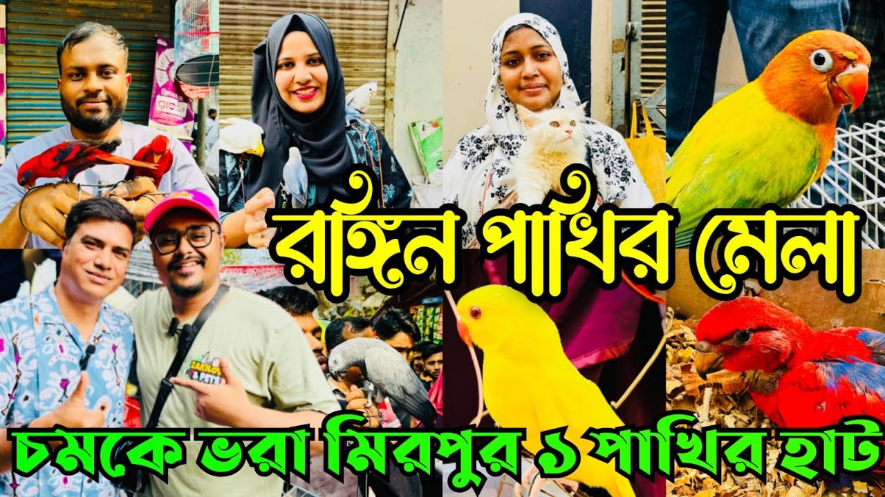 রঙ্গিন পাখির মেলা | মিরপুর ১ পাখির হাট | Mirpur 1 Pakhir Hat #viralvideo @MurshedPets