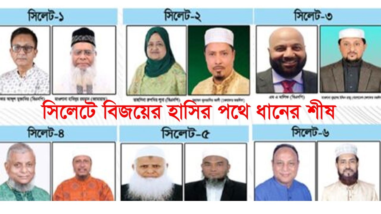 সিলেটে বিজয়ের হাসির পথে ধানের শীষ || 13th Election 2026 | Sylhet News | Election News | Banglaviewtv