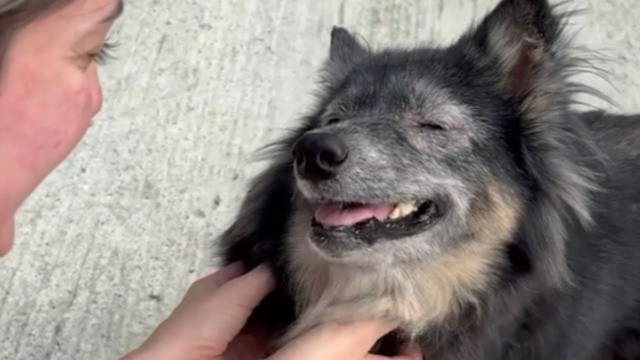 She Was So Fragile We Were Afraid to Touch Her — No One Thought She’d Survive