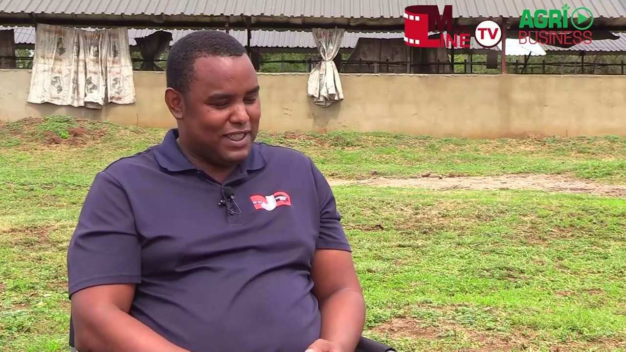 ASILIMENI MASWATI | EPISODE 7: From ICT to Agriculture: Duncan Dlamini's Piggery Success Story