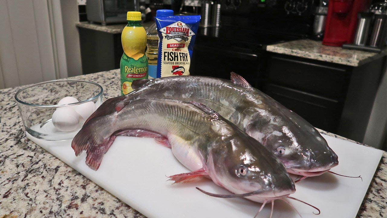 Fall Catfishing! (Catch & Cook)