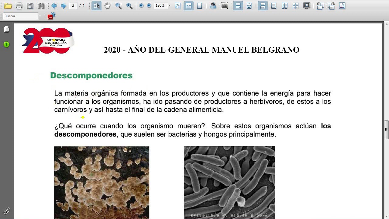 Descomponedores
