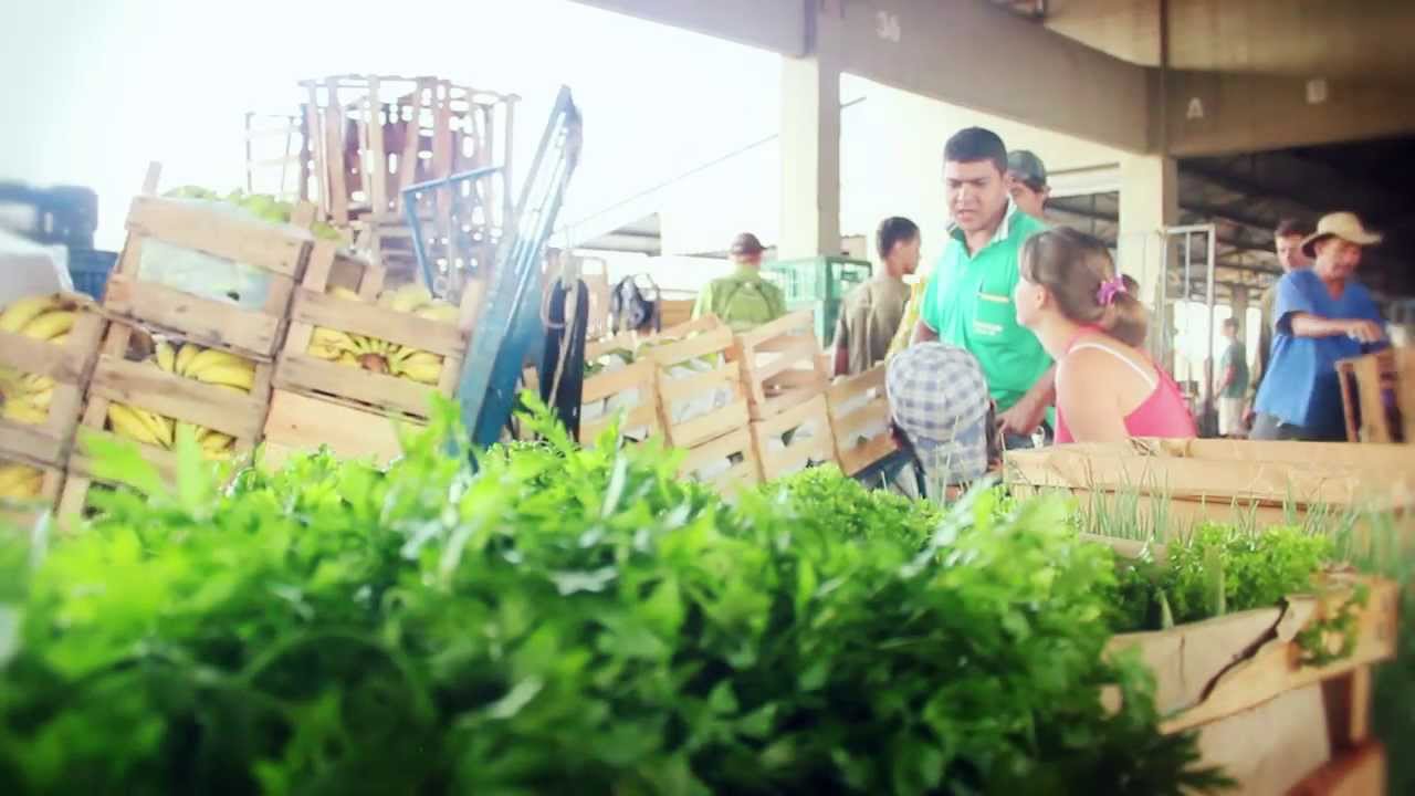Conheça a Ceasa/ES