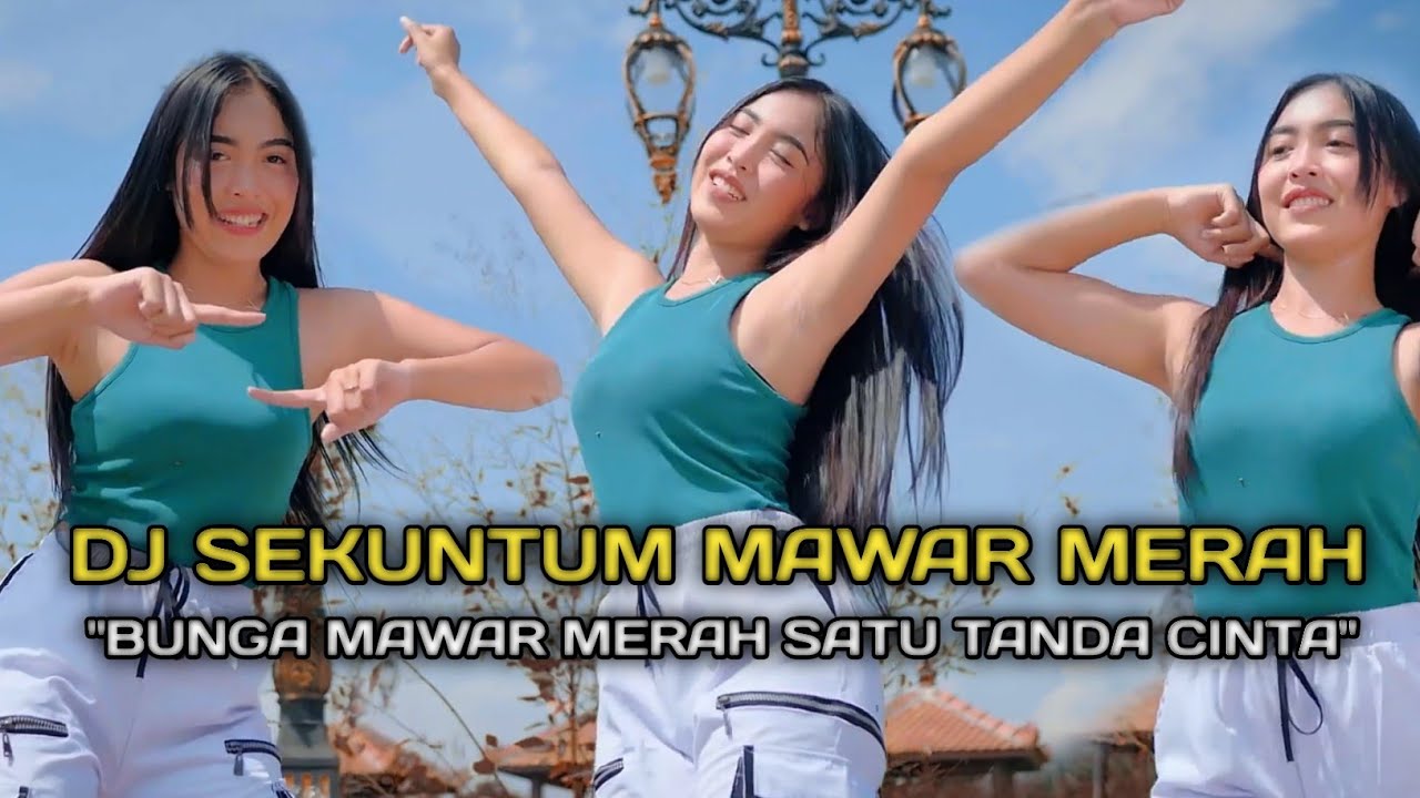 DJ BUNGA MAWAR MERAH SATU TANDA CINTA TIKTOK FULL BASS SEKUNTUM MAWAR MERAH VIRAL 2024