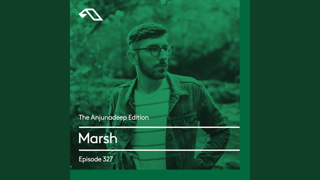 Moth ( [Martin Roth Remix] (Mixed))