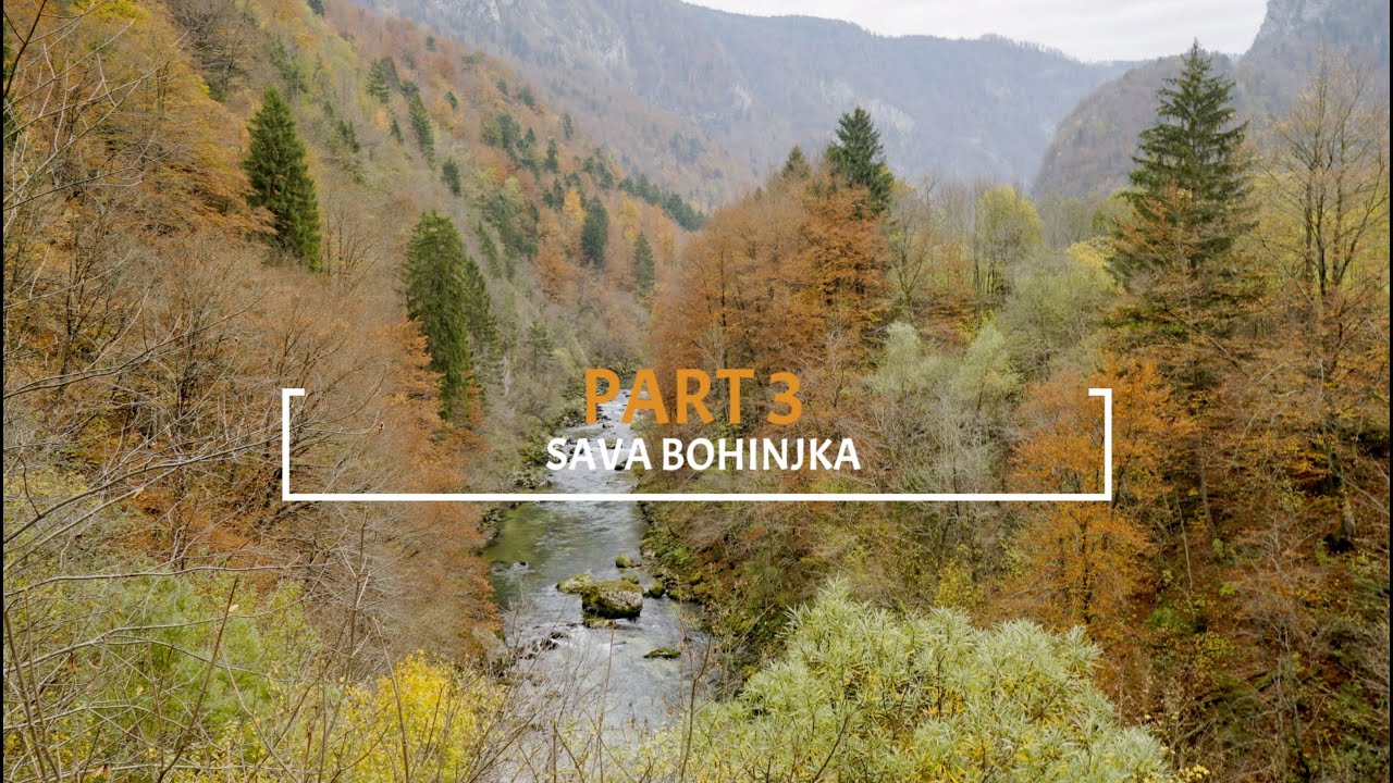 Emerald Dream Part 3. Flyfishing in Slovenia on the Sava Bohinjka.