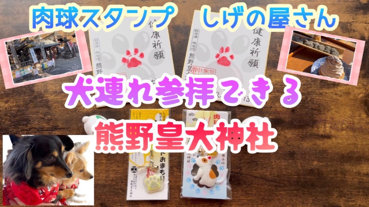 犬連れ参拝OK❗️軽井沢熊野皇大神社/肉球スタンプ/しげの屋さん[チワックスるなときなこ]