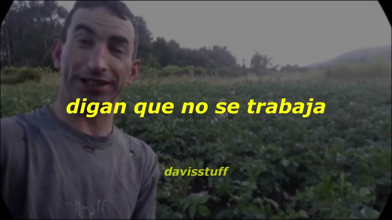 cosecha propia // letra
