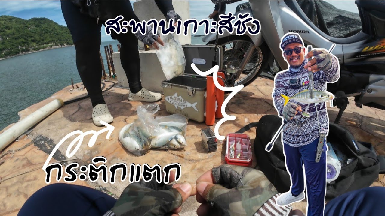 สะพานใหม่เกาะสีชัง ปลาสีขนกลมเข้าสะพาน #aji #fishing #Ajing game