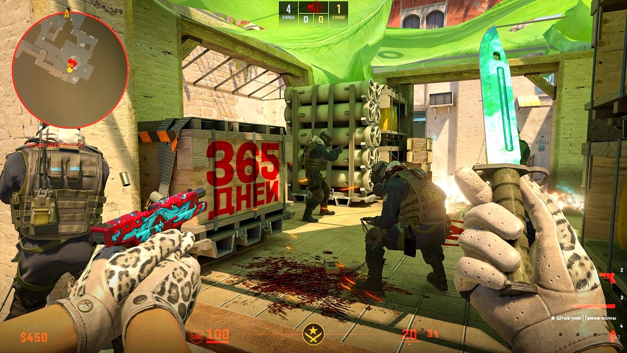 365 ДНЕЙ на 10 LVL FACEIT в CS2