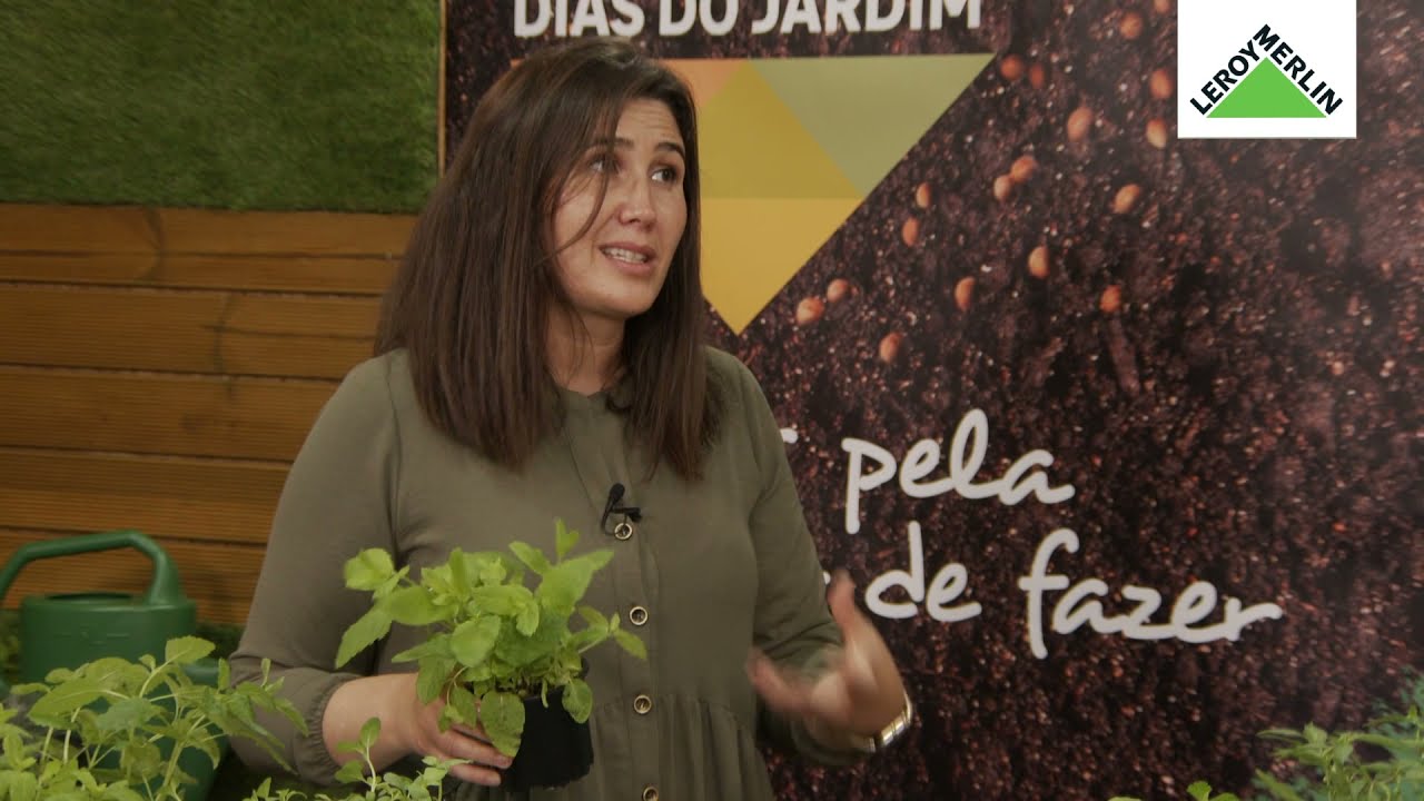 Crio o meu jardim de ervas aromáticas, com Susana Caseiro - Workshop da Casa | LEROY MERLIN