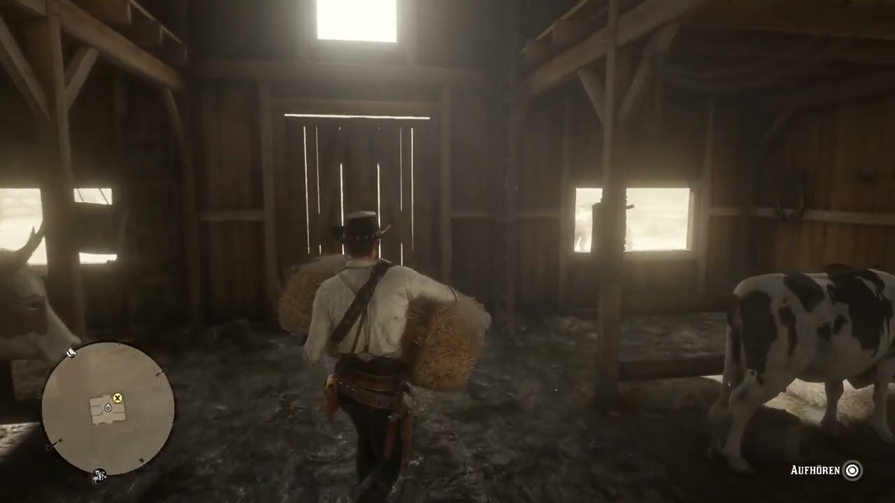 Red Dead Redemption 2_20251231141759