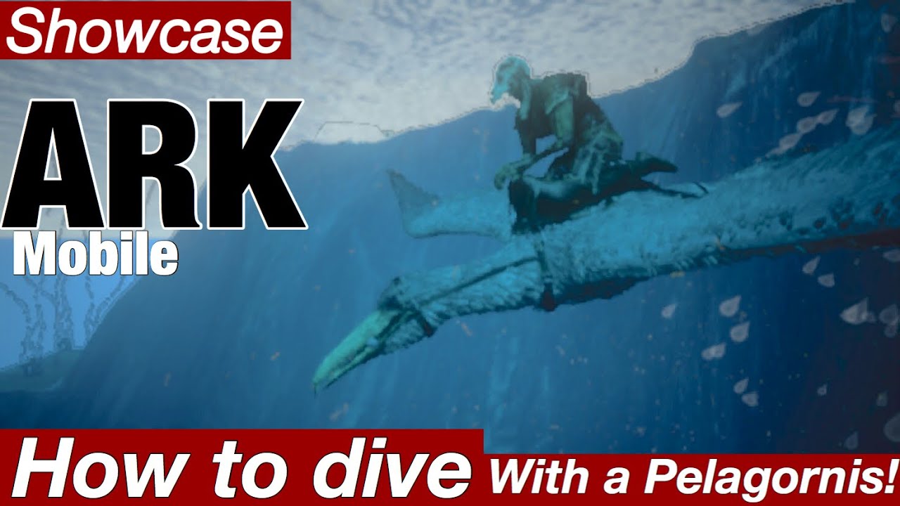How to Dive with a Pelagornis Ark mobile