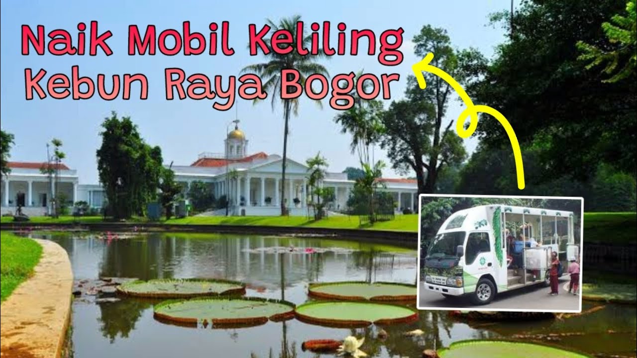 Kebun Raya Bogor || Naik mobil wisata wara-wiri