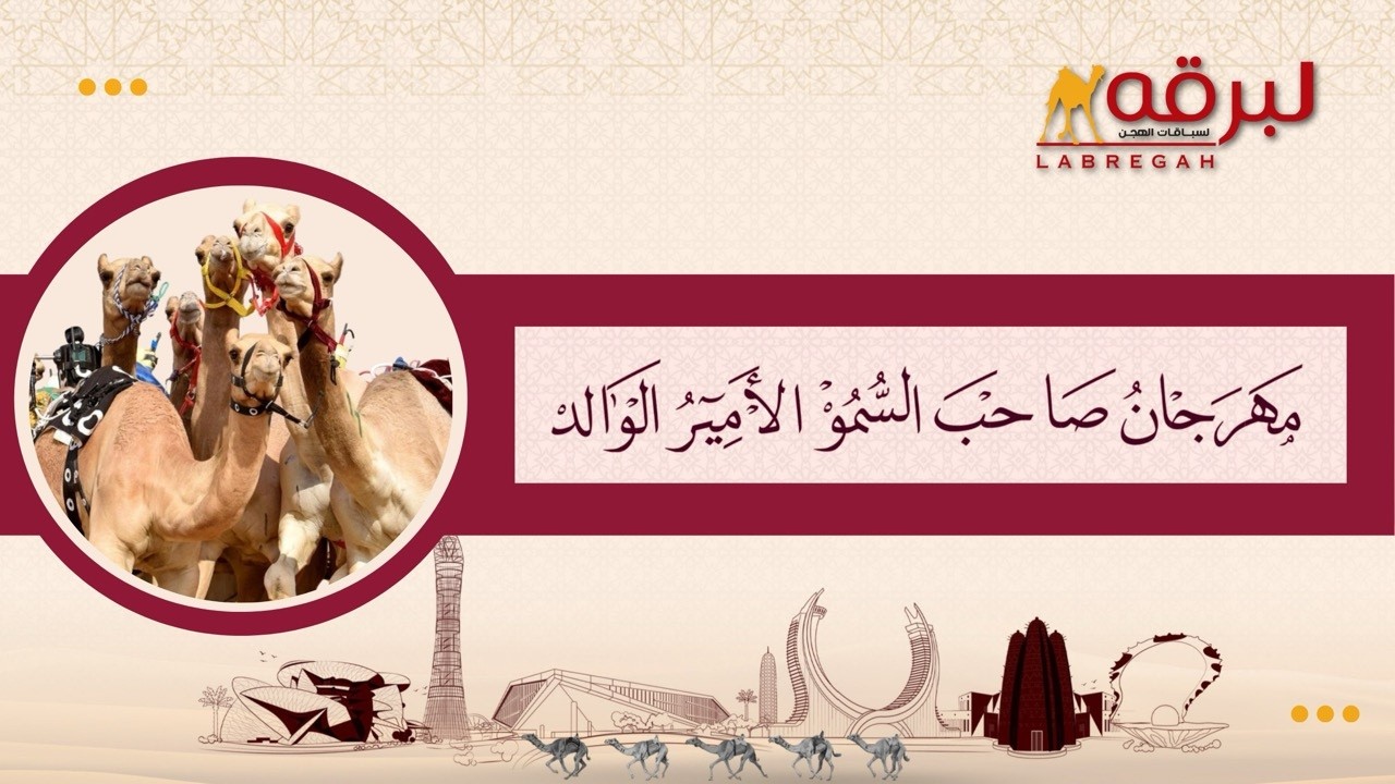 ش11 وحيشة لـ علي سالم سنيد محمد الدعيه (مهرجان الأمير الوالد 7-02-2026م) جذاع بكار إنتاج قطر 9:15:78