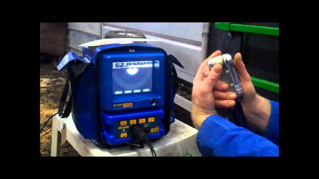 BCF Technology sheep scanning video 3 - Ovi-Scan settings explained