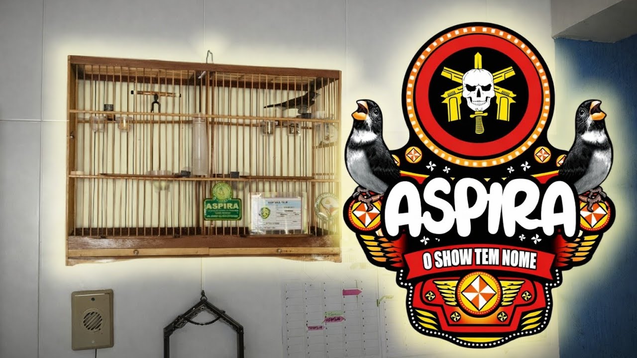 Iniciando a viagem e Aspira cantando - CRIATÓRIO ITAICANTO