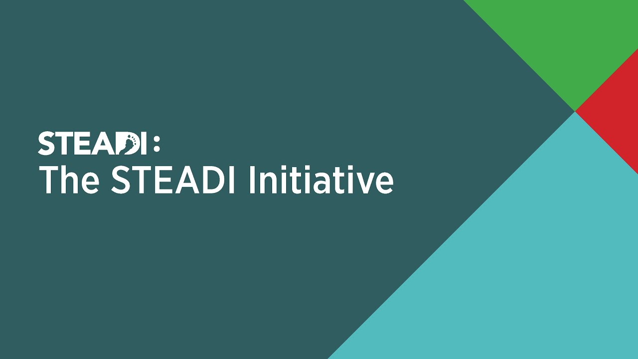 STEADI Provider Training - CDC STEADI Initiative