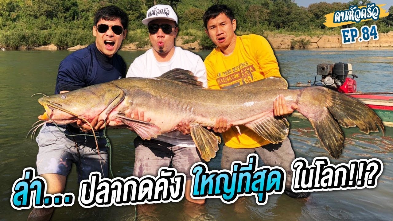ล่า..ปลากดคัง ใหญ่ที่สุด ในโลก!!? [หัวครัวทัวร์ริ่ง] EP.84
