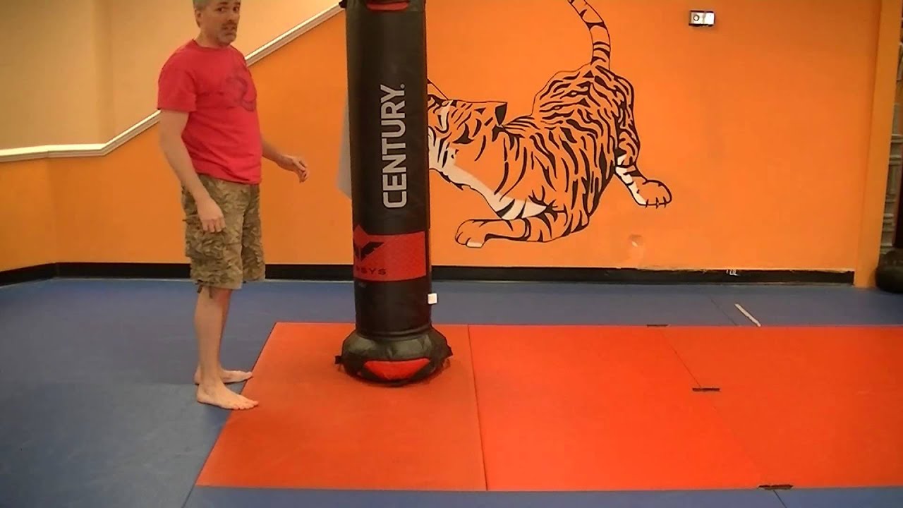 Century Versys VS 1 Fight Simulator Hands On Review