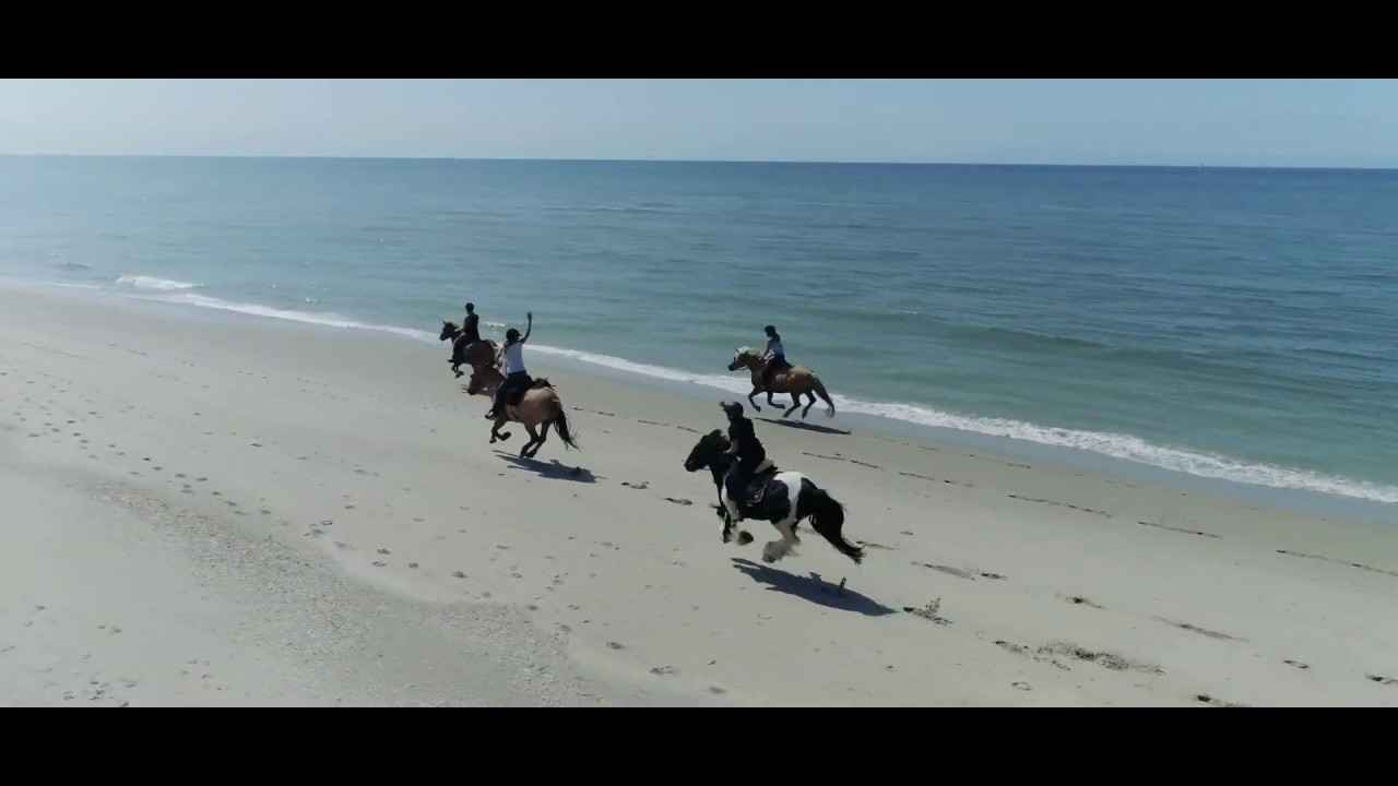 Mijn favoriete strandrit te paard!