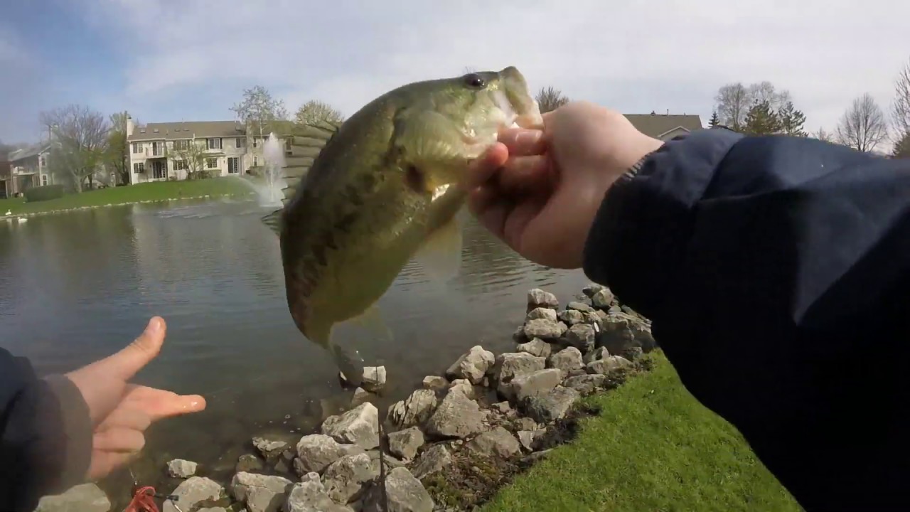 Early Season Bass on Small Jigs