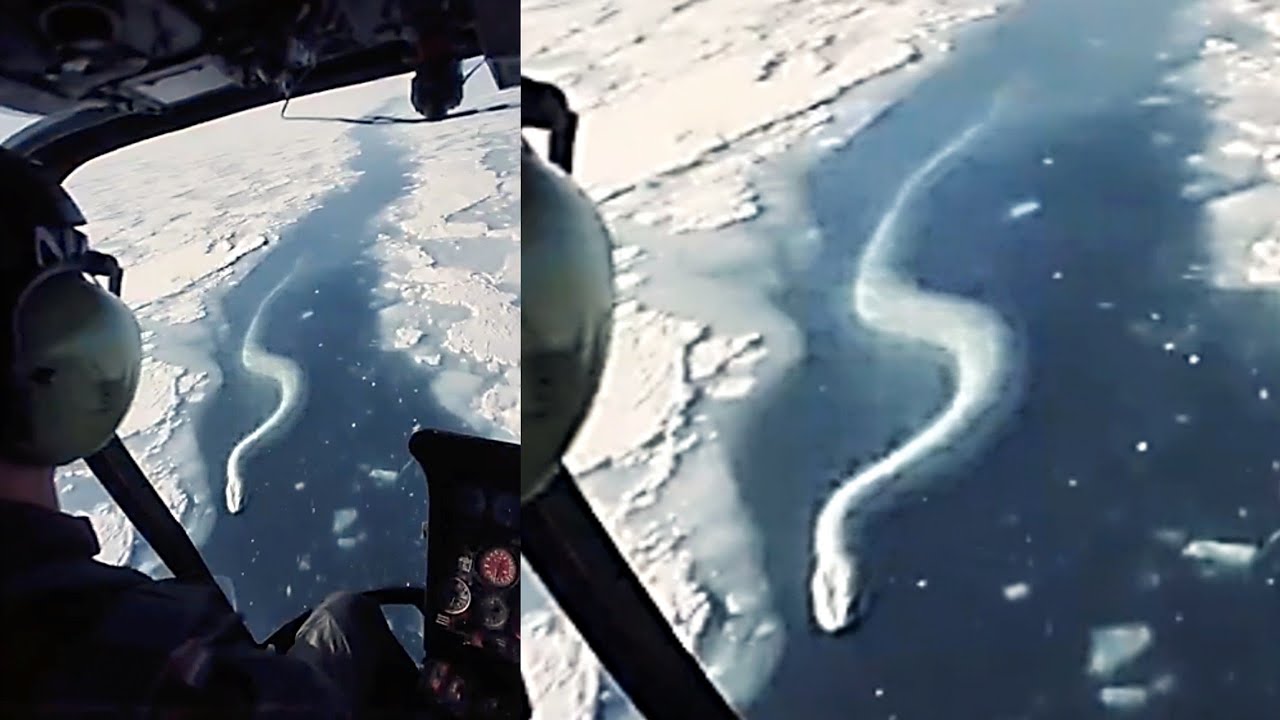 15 Strangest Unsolved Antarctica Mysteries That Cannot Be Explained