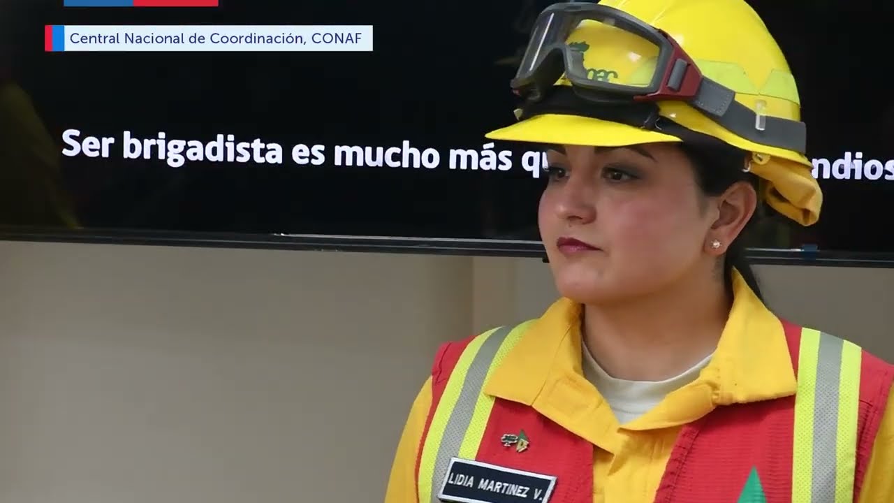 Minagri y CONAF convocan a postular a las brigadas forestales