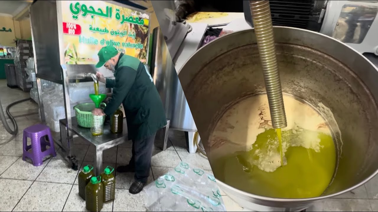 الذ زيت الزيتون شريتها من معصرة الحجوي 🌿🍃