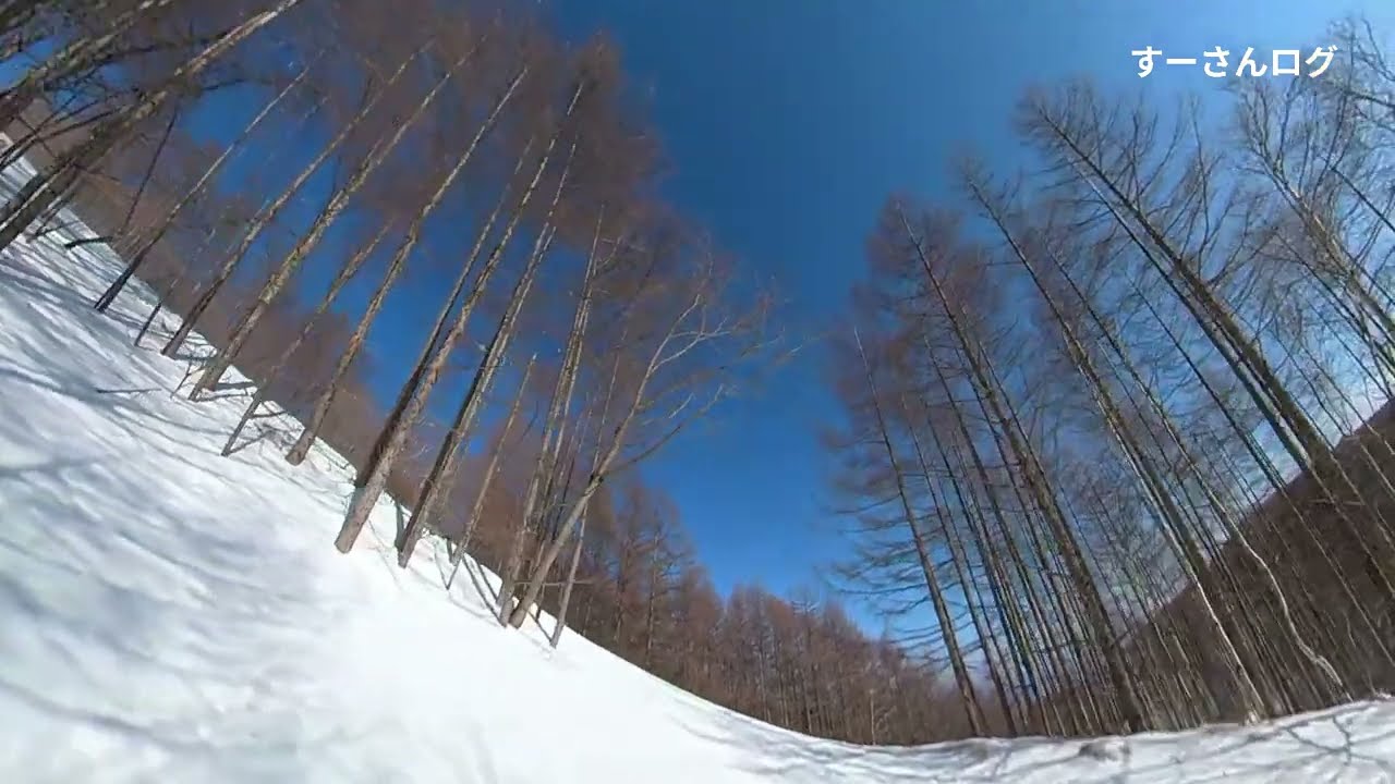 ネイチャースキー