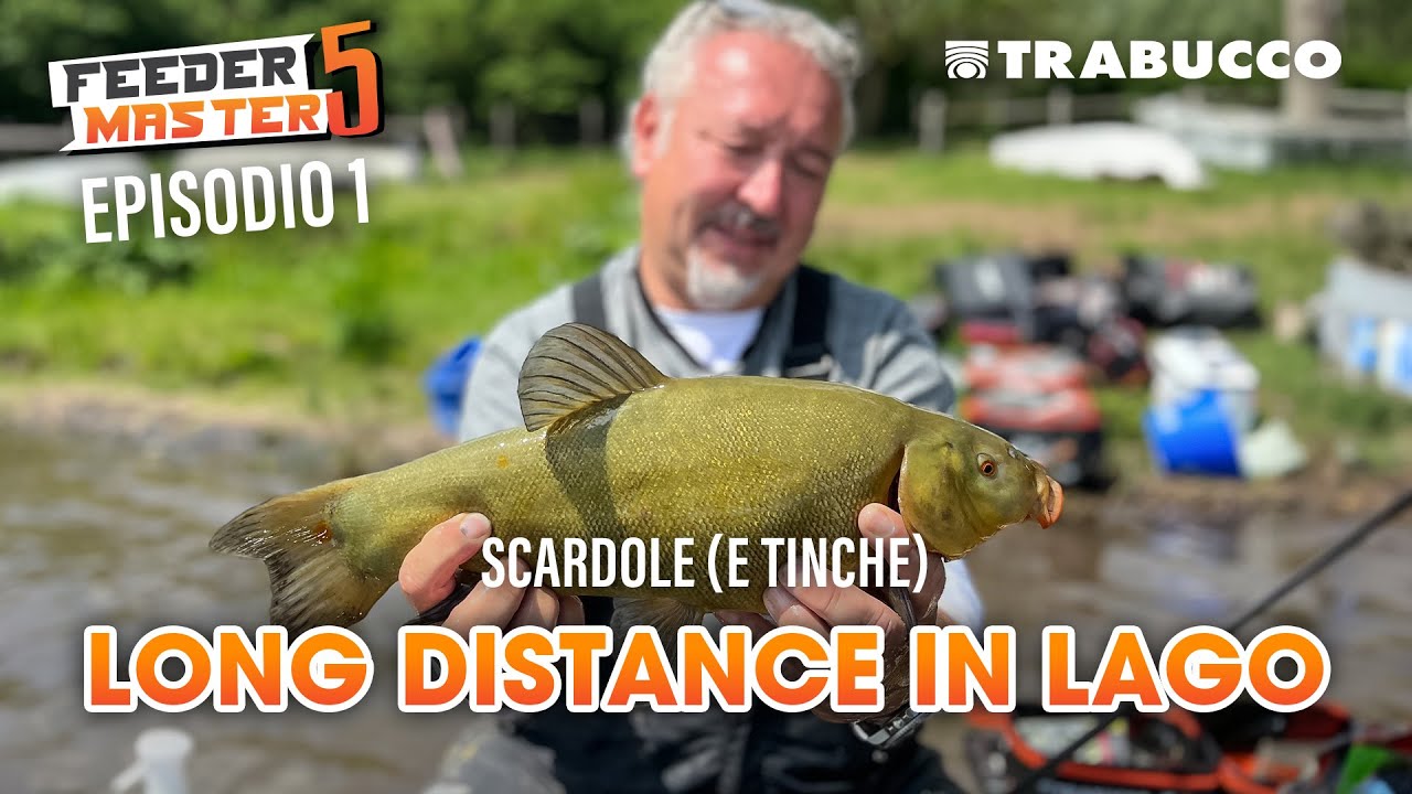 Pesca a FEEDER in Lago 👉🏻 Target: SCARDOLE e TINCHE 