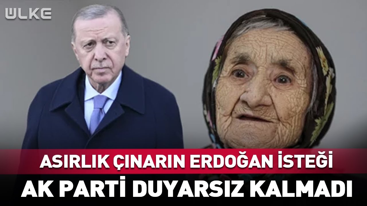 Asırlık Çınarın Erdoğan İsteğine AK Parti Duyarsız Kalmadı 